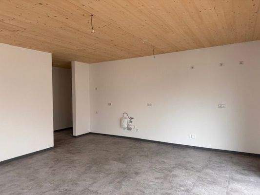 Wohnbereich mit offener Küche