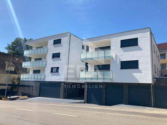 WhatsApp Image 2023-08-12 at 12.39.48