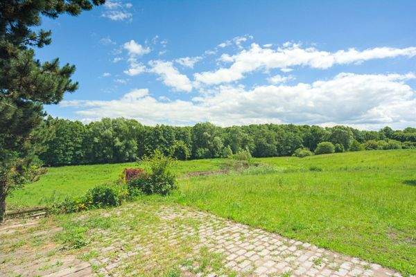 Blick von der Terrasse ins Grüne!