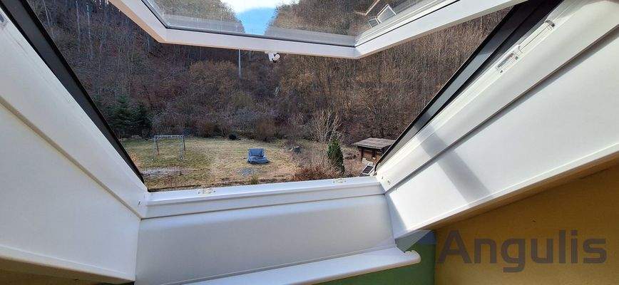 DG Blick in den Garten