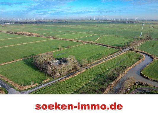 Bild...