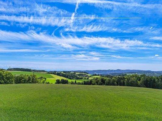 DJI_20250520145853_0431_D