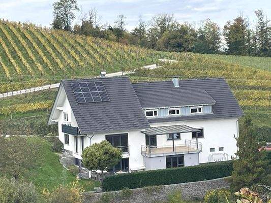 Idyllisch - inmitten der Weinberge