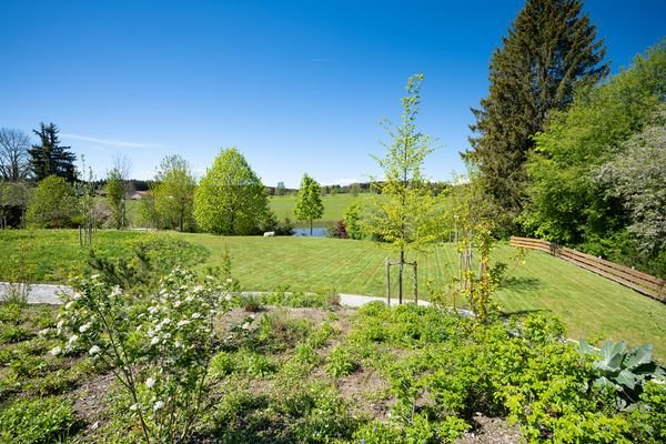 Den unverbaubaren Blick vom Gemeinschaftsgarten Richtung Weiher lassen wir einfach einmal für sich sprechen