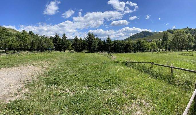 Von der Sonne verwöhnt