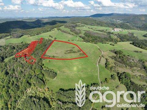 Schweisweiler Bauernhöfe, Landwirtschaft, Schweisweiler Forstwirtschaft