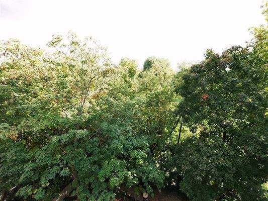 Ausblick von der Dachterrasse nach Westen