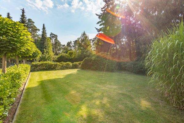 Vorderhaus Vorgarten 