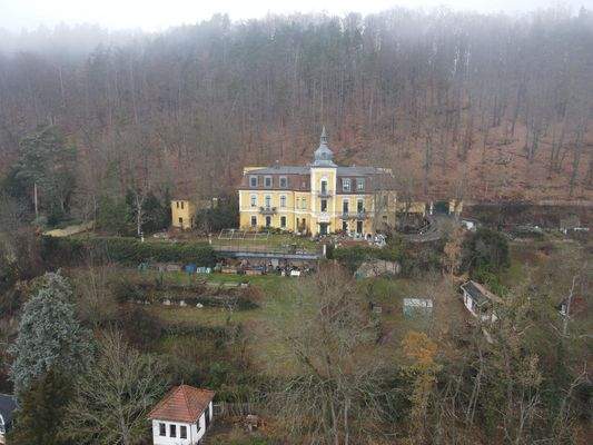 Drohne, Vorderansicht