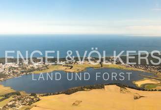 LAND UND FORST-4.png