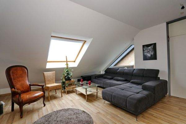 neue Dach- und Giebelfenster