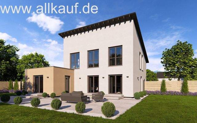 Hausansicht Pultdach