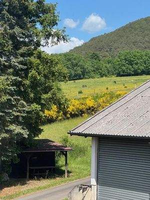 74 Blick zur Jungpferdewiese