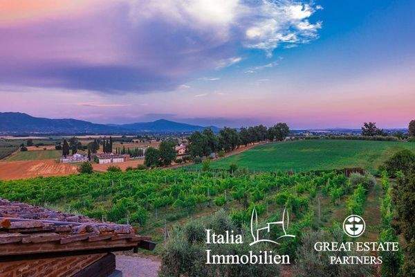 Schöne helle Villa in herrlicher Lage mit Türmchen, Pool, Weinberg und Olivenhain