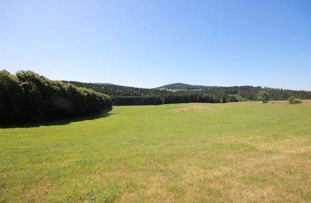 Blick auf das Grundstück