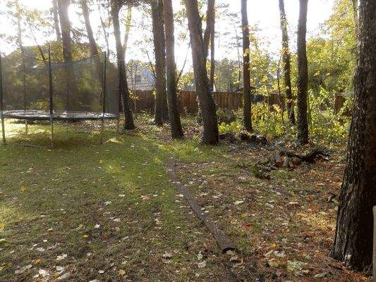 Sicht Richtung Nachtbargrundstück