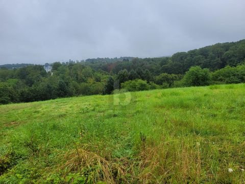 Trier Grundstücke, Trier Grundstück kaufen