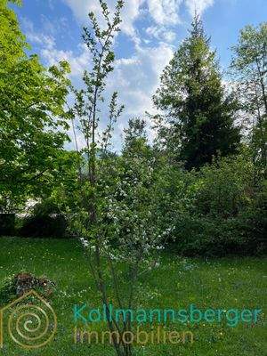 das Grundstück ist vollständig eingefriedet