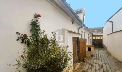 Großhöflein Häuser, Großhöflein Haus kaufen