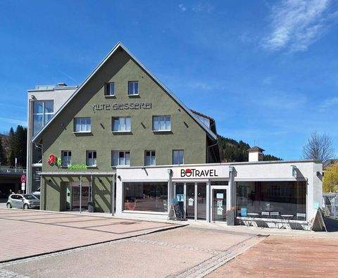 Titisee-Neustadt Wohnungen, Titisee-Neustadt Wohnung mieten