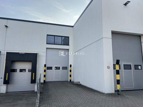 Düsseldorf Halle, Düsseldorf Hallenfläche