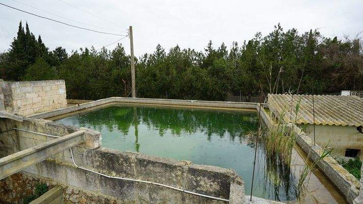 Parcela-edificable-Muro