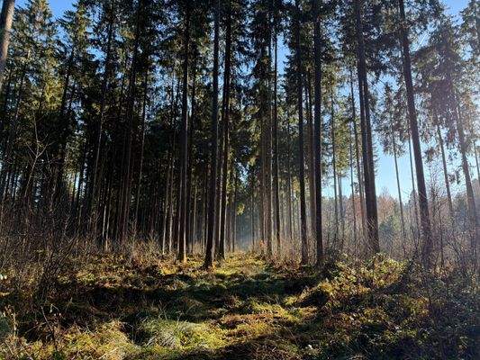 2025-12-10 11.04.58.jpg