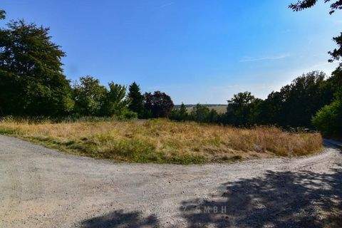 Crimmitschau Grundstücke, Crimmitschau Grundstück kaufen