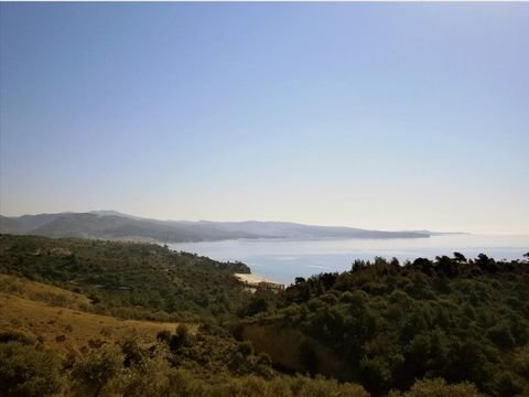 Thassos Bauernhöfe, Landwirtschaft, Thassos Forstwirtschaft