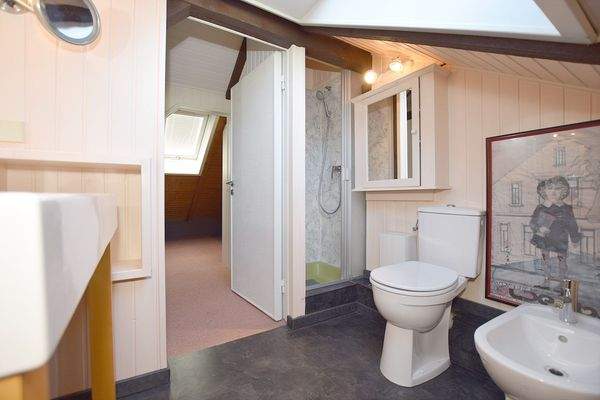 Ein kleines Bad mit Dachfenster steht auf der oberen Wohnebene zur Verfügung