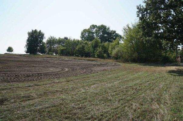 Grundstück - Ende ca. beim kleinen Einzelbaum 