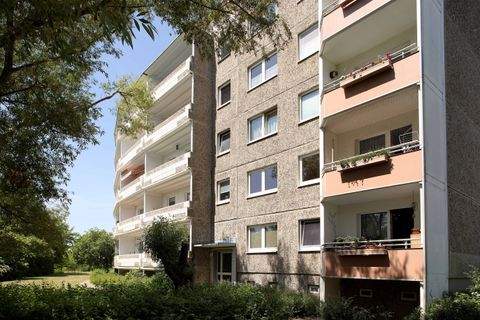 Neubrandenburg Wohnungen, Neubrandenburg Wohnung mieten