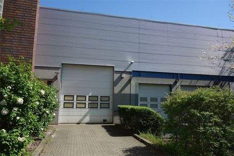 Berlin Halle, Berlin Hallenfläche