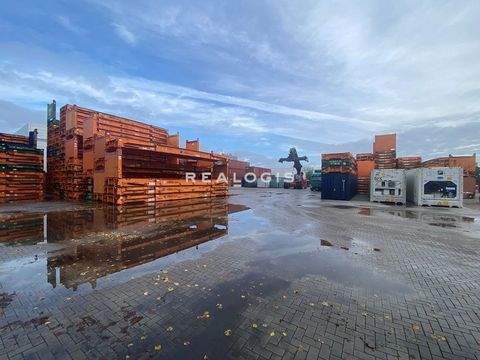 Hamburg Halle, Hamburg Hallenfläche