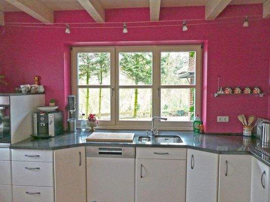 EBK mit großer Fensterfront