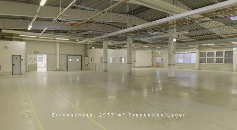 Zossen Halle, Zossen Hallenfläche