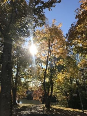 Blick von der Wohnung aus!