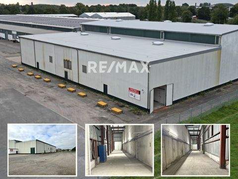 Kleve Halle, Kleve Hallenfläche