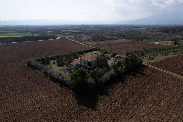 Krinides-Tsiriktsidou 23-02-2024-8.jpg