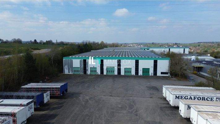 Telefon: 069 50699990