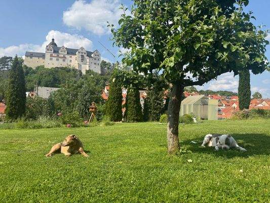 Garten Burgblick.jpeg