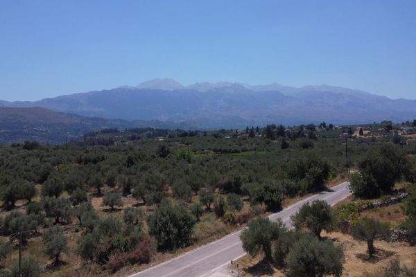 Kreta, Kalamitsi Amigdali: Charmantes kretisches Haus mit privatem Olivenhain und Bergblick zu verkaufen