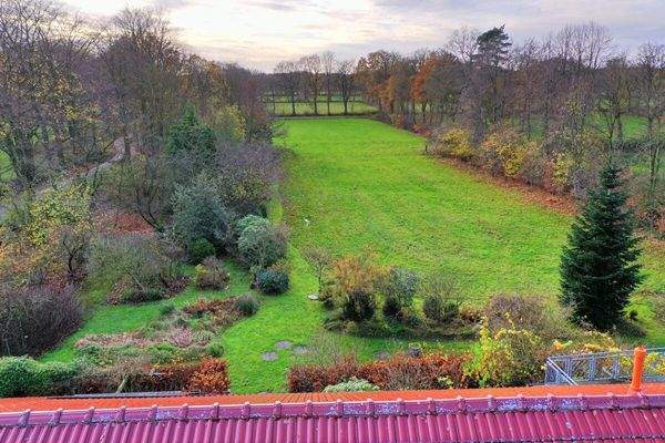 Blick auf das Grünland