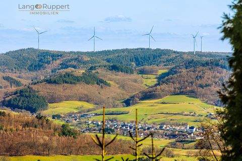 Seidenbuch Häuser, Seidenbuch Haus kaufen