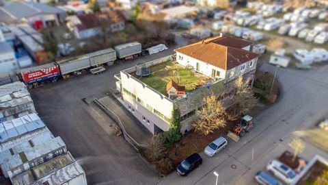 Bissingen an der Teck Halle, Bissingen an der Teck Hallenfläche