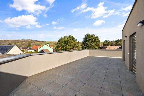 Wolkersdorf im Weinviertel Wohnungen, Wolkersdorf im Weinviertel Wohnung kaufen