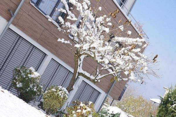 Wintertraum am See.JPG