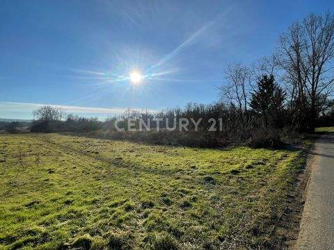 Budenheim Bauernhöfe, Landwirtschaft, Budenheim Forstwirtschaft