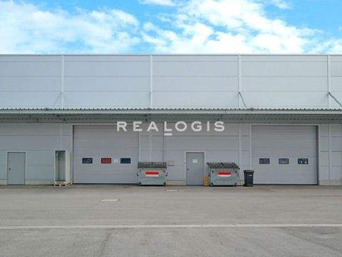 Wolnzach Halle, Wolnzach Hallenfläche