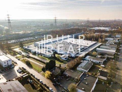 Bottrop Halle, Bottrop Hallenfläche